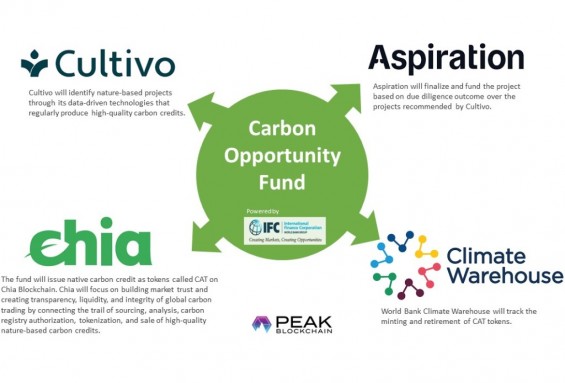 Carbon Opportunities Fund   Chia Network