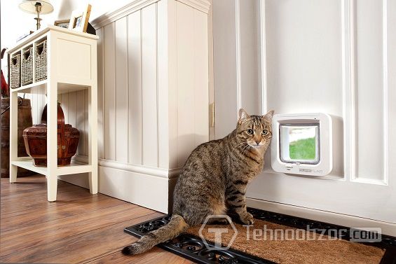 Кошка Microchip Pet Door Connect