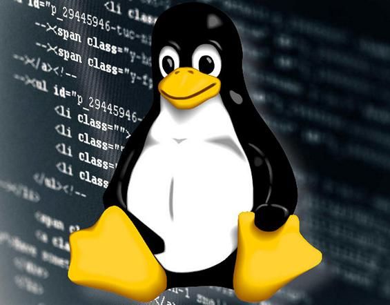 Эмблема ОС Linux на фоне программного кода
