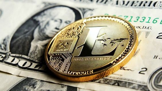 Золотая монета Лайткоина лежит на долларовой банкноте