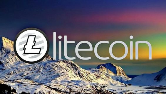 Litecoin майнинг через кошелек как перевести с киви на биткоин деньги