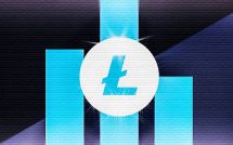 Бело-голубой значок Litecoin