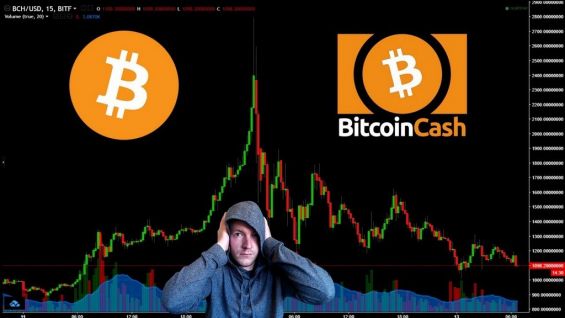 Парень на фоне графика, обозначающего памп Bitcoin Cash