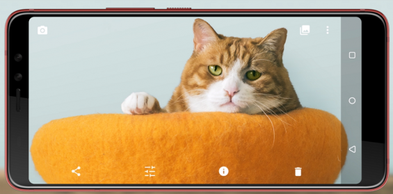 Кот на экране HTC U11 Eyes