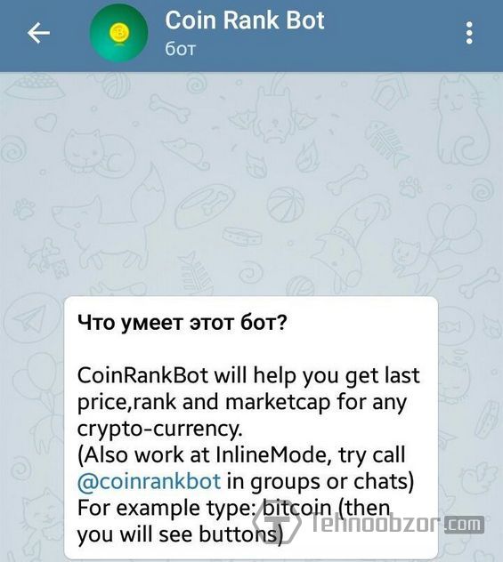 Оформление Телеграм-бота CoinRankBot