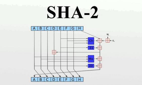 Схематическое изображение алгоритма SHA-2