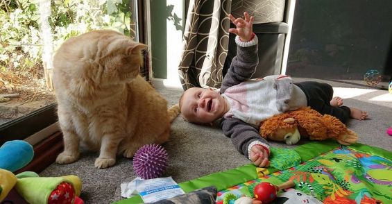 Ребёнок и кот сфотографированы на камеру Sony Xperia XZ3