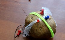 Как сделать простейший радиоприемник из картошки своими руками?