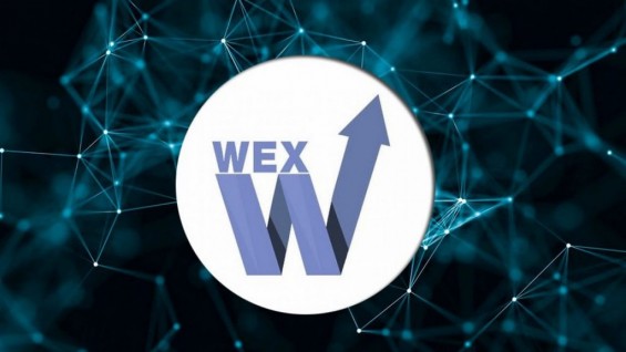 Логотип криптобиржи WEX крупным планом