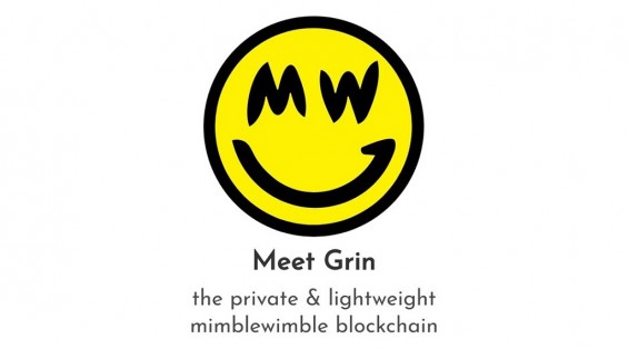 Логотип криптовалюты Grin