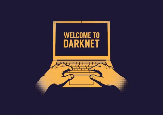 Использование Dark net на ноутбуке