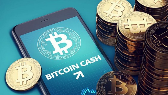 Эмблема Bitcoin Cash на экране смартфона