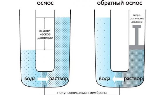 Получение осмотической мембраны