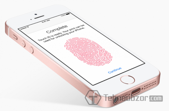 Внешний вид iPhone SE
