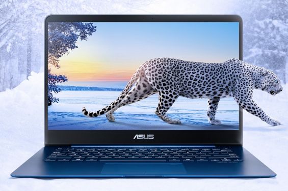 Снежный барс на экране ноутбука ASUS