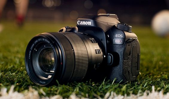 Canon EOS 80D лежит на траве