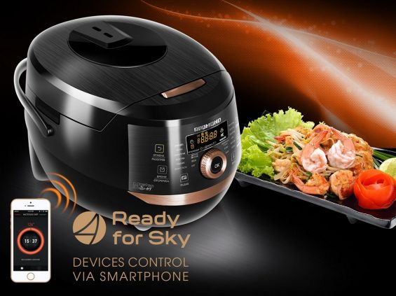 Redmond SkyKitchen CB391S и подставка с едой