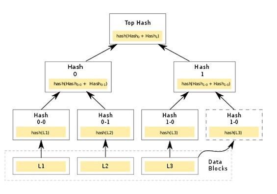Дерево хэша в блоке Биткоина
