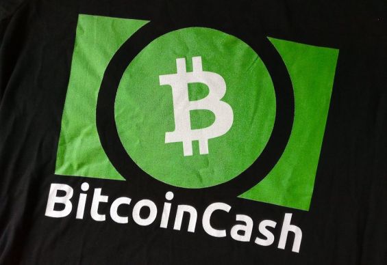 Эмблема криптовалюты Bitcoin Cash