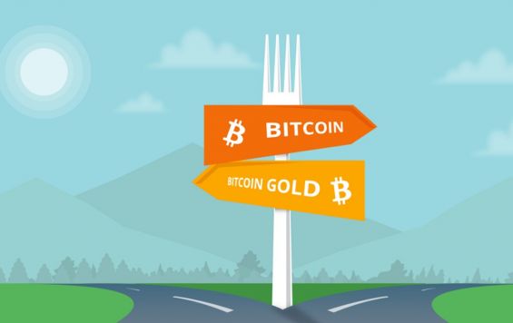 Графическое изображение отделения Bitcoin Gold от обычного Bitcoin