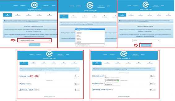 Работа с сервисом Cryptonator при генерировании Лайткоин-адреса кошелька