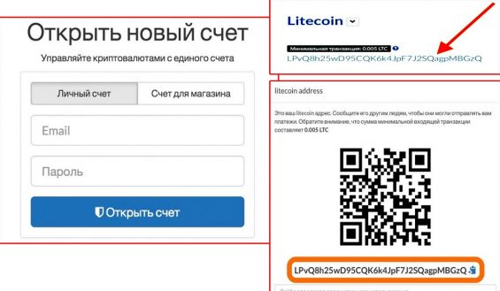 Процесс создания мультивалютного кошелька в системе Cryptonator