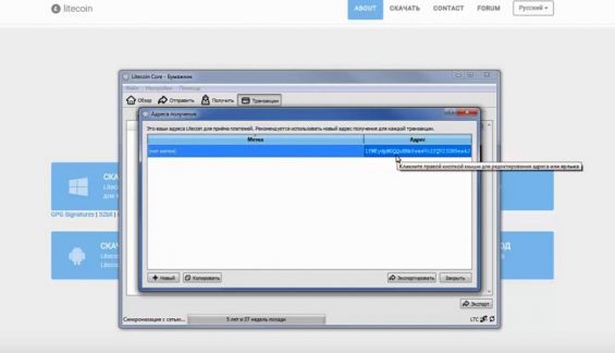 Окно с Лайткоин-адресом