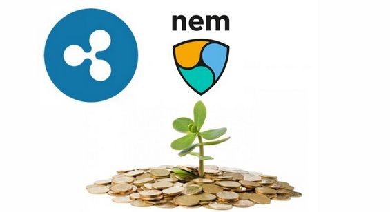 Эмблемы NEM и Ripple над зелёным росточком