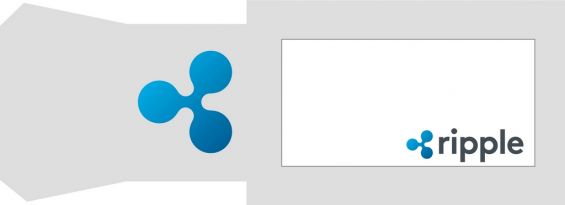 Шаблон бумажного кошелька Ripple