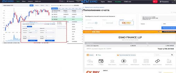 Пополнение Риппл-счёта на EXMO через OKpay