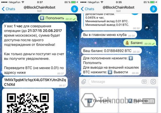 Оформление бота @BlockchainRobot