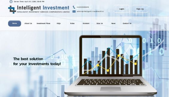 Оформление площадки Intelligent-investment