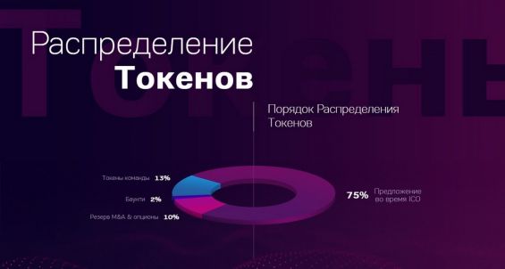 Схема распределения токенов Buzcoin