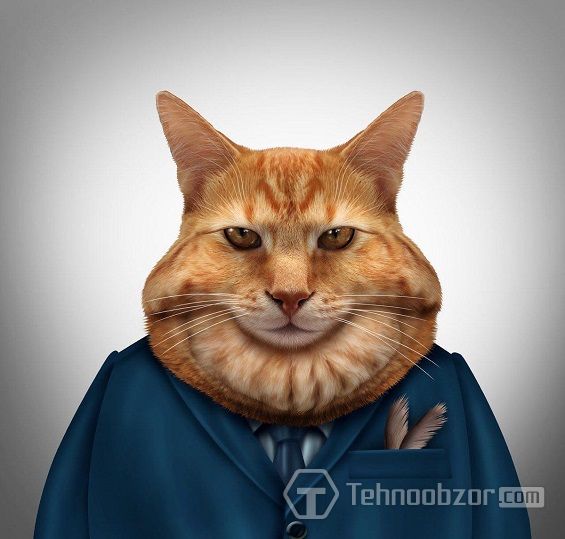 Жирный кот (fatcat)