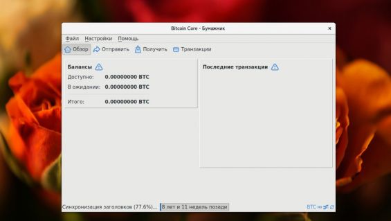 Кошелек Bitcoin Core на этапе синхронизации