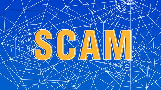 Слово SCAM на фоне паутины