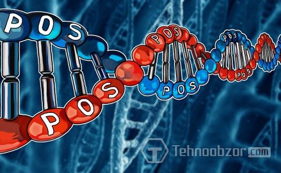 Цепочка блокчейн при майнинге PoS