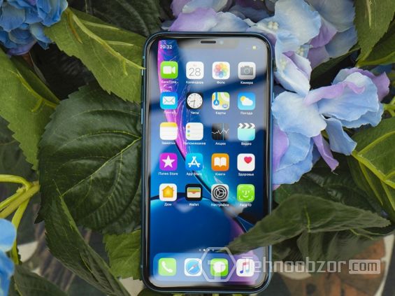 Иконки на экране iPhone XR