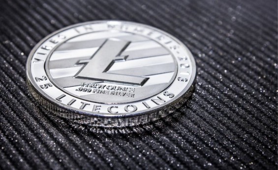 Серебряная монета Litecoin крупным планом