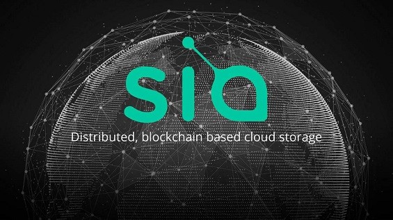 Логотип Siacoin