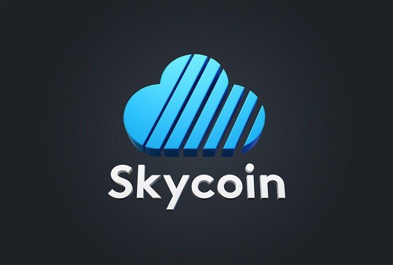 Логотип Skycoin