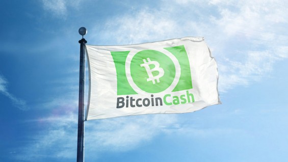 Флаг с эмблемой Bitcoin Cash