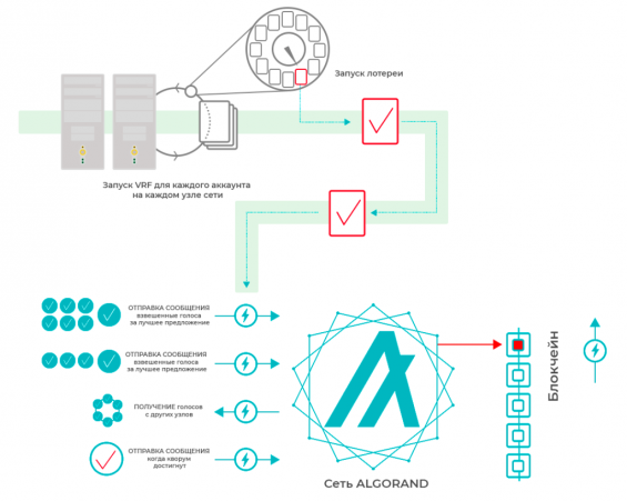 Протокол консенсуса Algorand