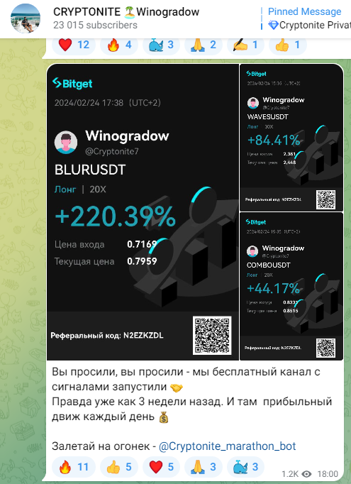 Cryptonite Winogradow слив