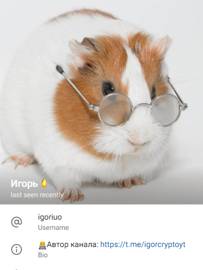 Igor Crypto