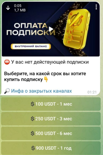 Игорь Виноградов тг