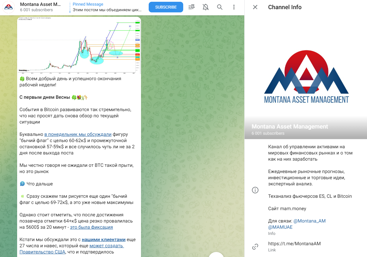 Montana Asset Management развод