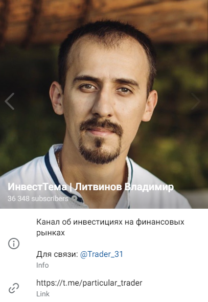 владимир литвинов инвестор