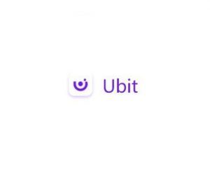 Ubit проект