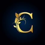 Алексей Ашихмин